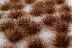 Trsy dvojfarebné - neskorá jeseň