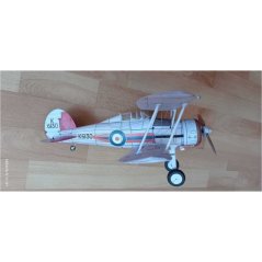 Fokker C.I