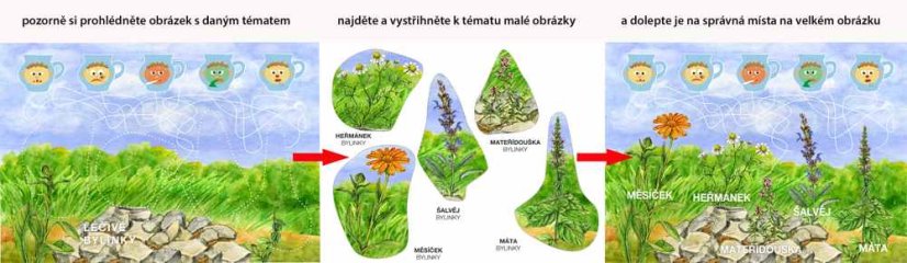 Začínáme vystřihovat - Zahrada