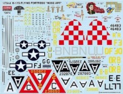 B-17 Special Nose Art