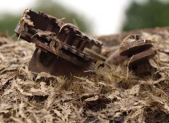 Stromové lístia - shnitý dub