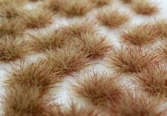 Drny dvoubarevné - časný podzim