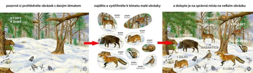 Začínáme vystřihovat - V lese