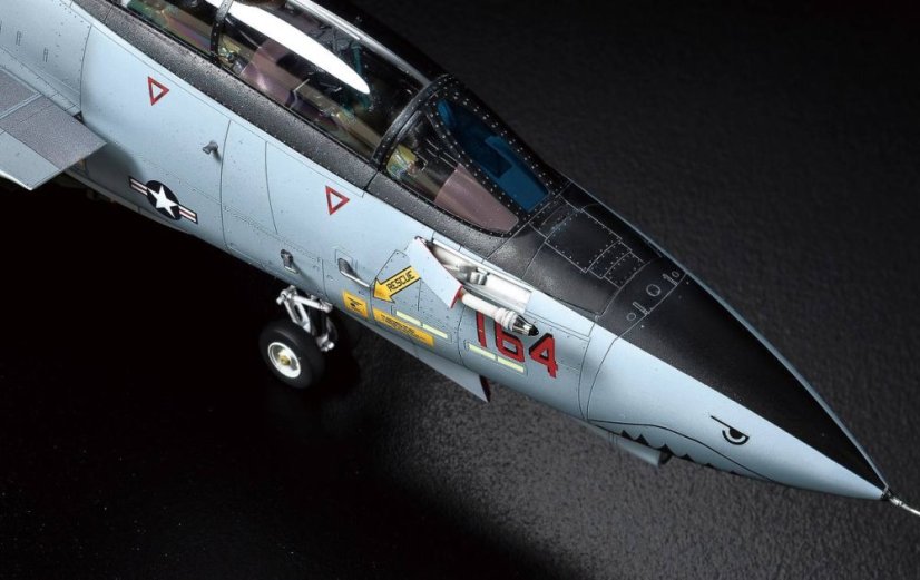 F-14D Tomcat