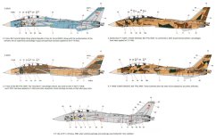 F-14A "IRIAF"