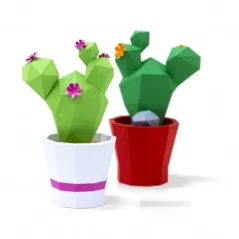 Kaktus Opuntia