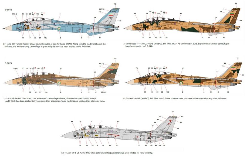 F-14A "IRIAF"