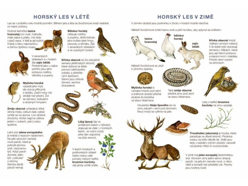 Začínáme vystřihovat - Na horách