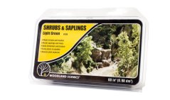 Shrubs & Saplings Foliage - Light green