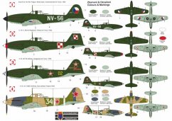 Avia B-33/IL-10 - Beast
