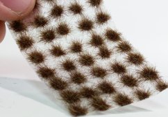 Drny malé - pozdní podzim