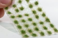 Trsy malé - neskoré leto