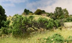 Kríky - Stredne zelená