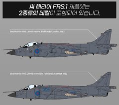 Sea Harrier FRS.1 Fighter