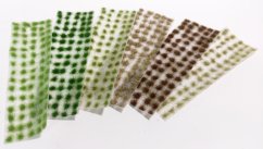 Drny malé - pozdní léto