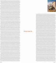 AutoBlinda 43 - Laserové doplnky - dezény