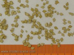 Stromové lístia - univerzálne suché lístie