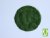 Static Grass 2mm - Green 50g