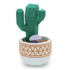 Kaktus San Pedro