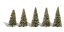 Jehličnaté stromky - Smrk - 5 cm - 8,9 cm - 5ks