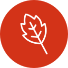 Leaves, plants