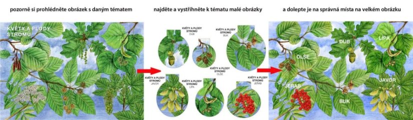 Začínáme vystřihovat - V lese