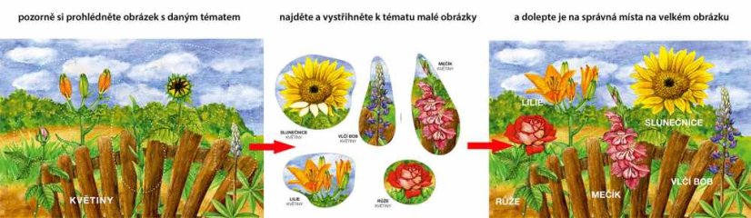 Začínáme vystřihovat - Zahrada