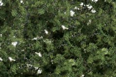 Fine-Leaf Foliage - Medium green
