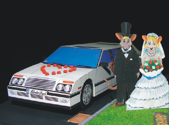 Bíla limuzína "Novomanželé"