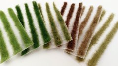 Trávne pásy - skorý jeseň