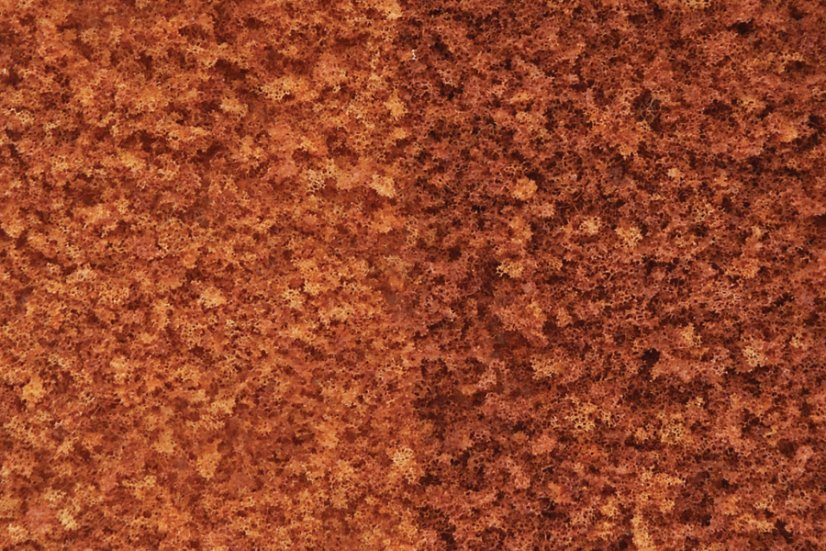 Foliáž - Pozdní podzimní mix - střední balení