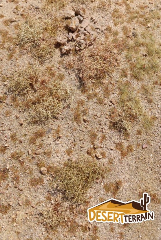 Grass pad - Desert Middle East