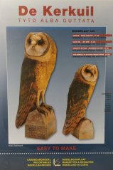 Sova pálená středoevropská