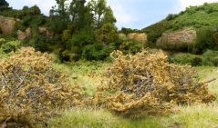 Keře - Suchá hnědá