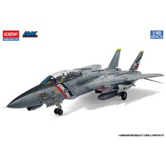 F-14D US Navy Aircraft