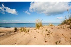 AK Interactive - Terrains Beach Sand 250ml - AK8019 – detail 1