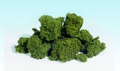 Foliáž velké shluky - Světle zelená - střední balení