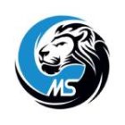 MS Models (CZ)