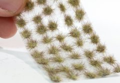 Trsy malé - skorá jeseň