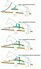 Polský koňský povoz Wz. 19