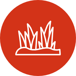 Statická tráva - Woodland Scenics