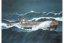 Ponorka Movie Set DAS BOOT - 40th Anniversary (1:144)