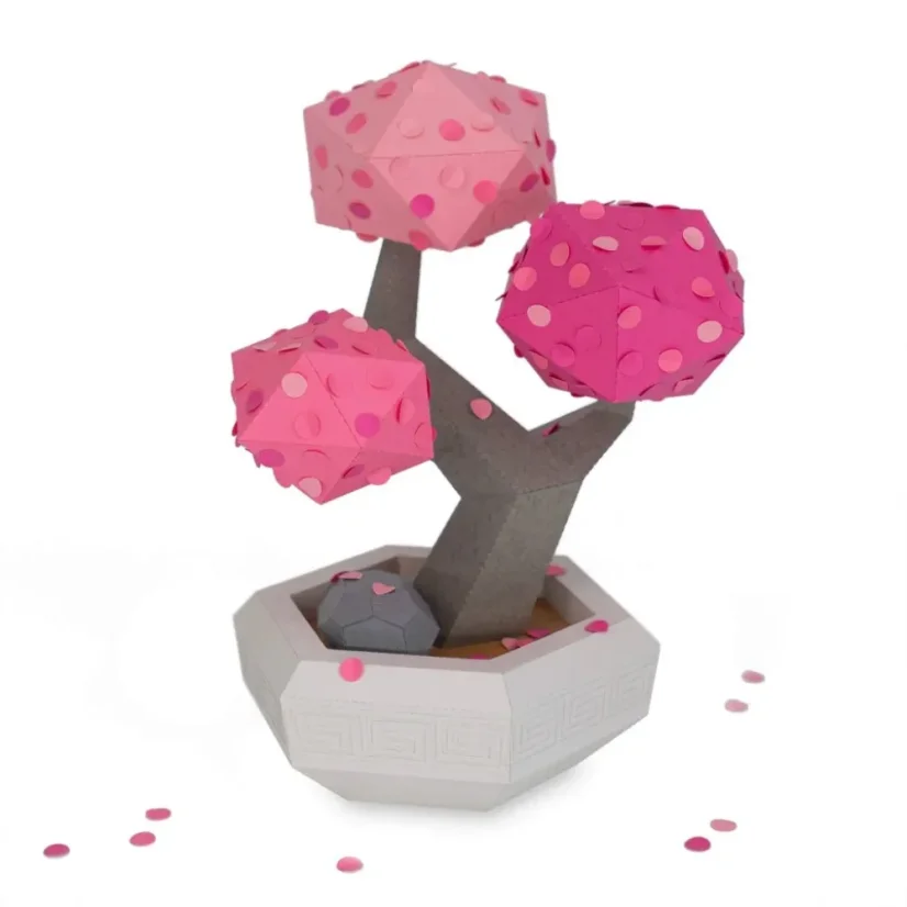 Bonsai - sakura