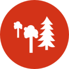 Landscape for modelers