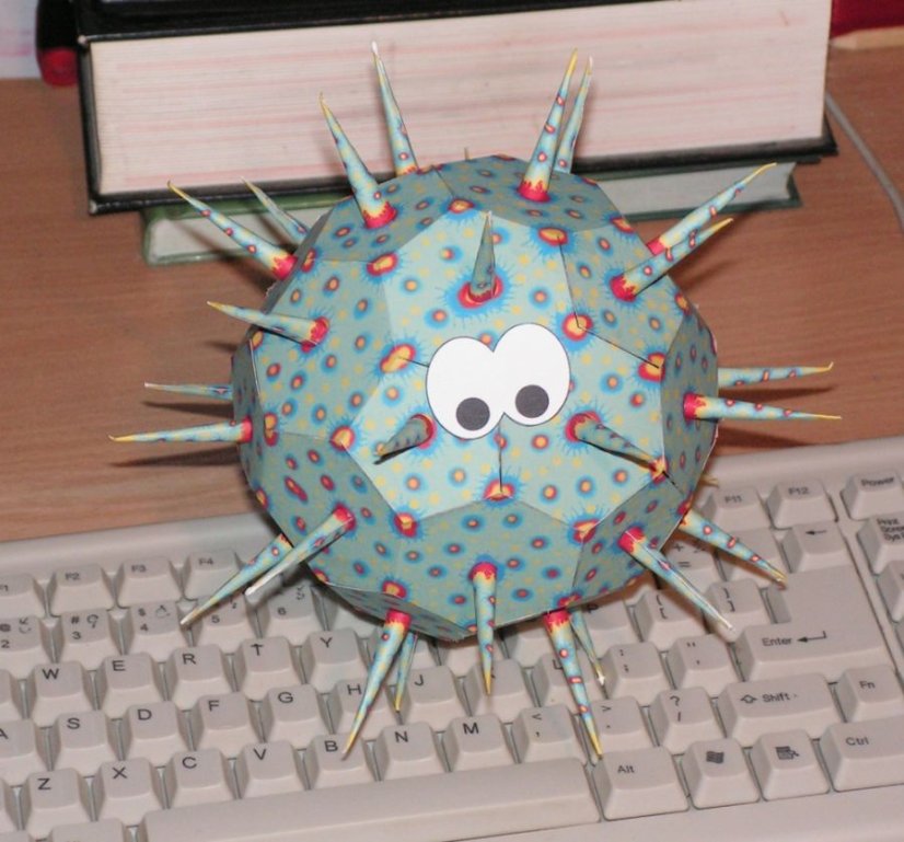 Coronavirus
