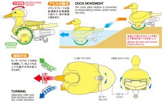 Walking & Swimming Duck(Yel)