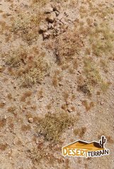 Grass pad - Desert Middle East
