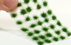 Trsy malé - skoré leto