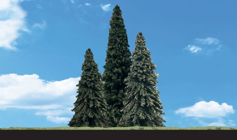 Jehličnaté stromky - Jedle - 5 cm - 8,9 cm - 5ks