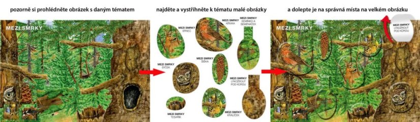 Začínáme vystřihovat - V lese